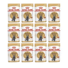 Royal Canin 12x85 gr British Shorthair Kedi Maması