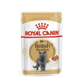 Royal Canin 12x85 gr British Shorthair Yetişkin Kedi Yaş Maması