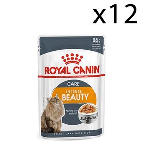 Royal Canin 12x85 gr Intense Jelly Yetişkin Kedi Konservesi