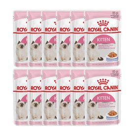 Royal Canin 12x85 gr Jelly Kitten Yaş Yavru Kedi Maması