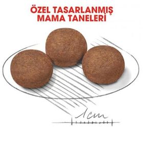 Royal Canin 15 kg Medium Junior Orta Irk Yetişkin Köpek Maması