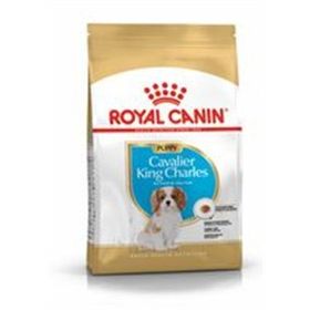 Royal Canin 1,5 KG Puppy Cavalier King Charles Yavru Köpek Maması