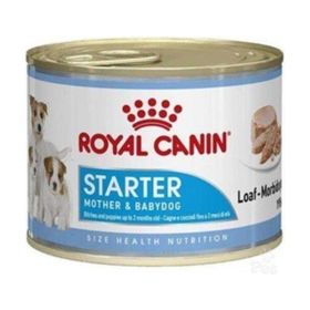 Royal Canin 195 gr Starter Mouse Konserve Mama