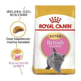 Royal Canin 2 kg British Shorthair İçin Özel Yavru Kuru Kedi Maması