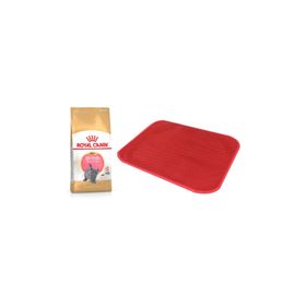 Royal Canin 2 kg British Shorthair Yavru Kedi Maması + Elekli Kedi Tuvalet Paspası