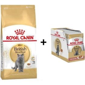 Royal Canin 2 kg Kitten British Shorthair Yavru Kedi Maması + 12 Adet Yaş Mama