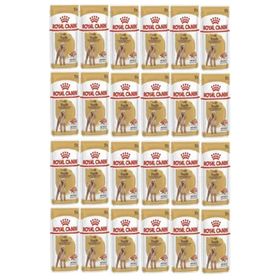 Royal Canin 24x85 gr Adult Poodle Caniche Tüy Sağlığı Destekleyici Yetişkin Köpek Konservesi
