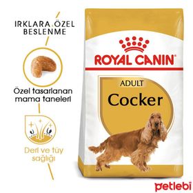 Royal Canin 3 kg Adult Cocker Spaniel Köpek Maması