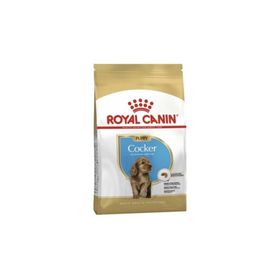 Royal Canin 3 kg Cocker Yavru Köpek Kuru Maması