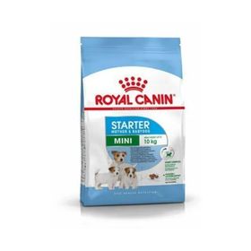 Royal Canin 3 kg Mini Starkgter Köpek Maması