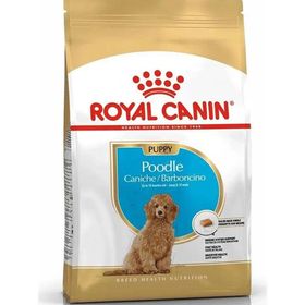 Royal Canin 3 kg Poodle Puppy Köpek Maması