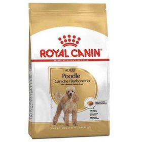 Royal Canin 3 kg Poodle Yetişkin Köpek Maması