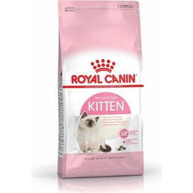 Royal Canin 36 Kitten 100 gr Yavru Kuru Kedi Maması