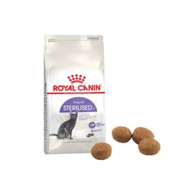 Royal Canin 4 kg 37 Kısırlaştırılmış Kuru Kedi Maması
