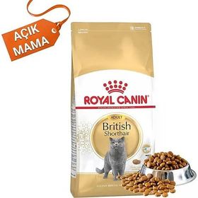 Royal Canin 4 kg Açık British Shorthair Yetişkin Kuru Kedi Maması