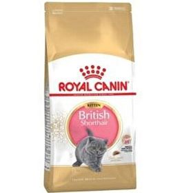 Royal Canin 4 kg British Yavru Kedi Maması