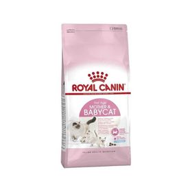 Royal Canin 4 kg Cat FHN Mother Babycat Kedi Maması