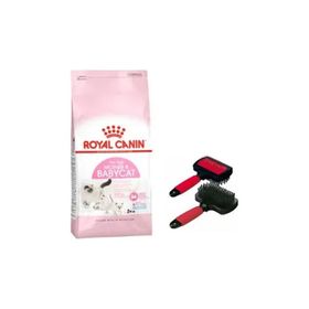 Royal Canin 4 kg Mother Babycat Kedi Maması+ Polo Çift Tarafı Tarak
