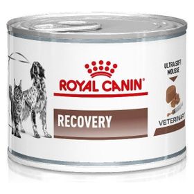 Royal Canin 6x195 gr Recovery Kedi Köpek Konservesi