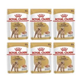 Royal Canin 6x85 gr Adult Poodle Caniche Tüy Sağlığı Destekleyici Yetişkin Köpek Konservesi