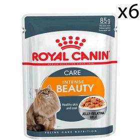 Royal Canin 6x85 gr Intensebeauty Jel Kedi Maması