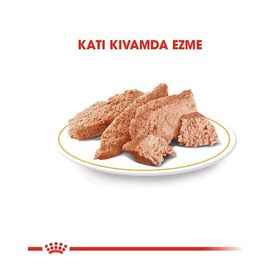 Royal Canin 6x85 gr Pouch Yorkshire Terrier Irkı Özel Yaş Köpek Maması