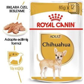 Royal Canin 85 gr Chihuahua Adult Yaş Köpek Maması