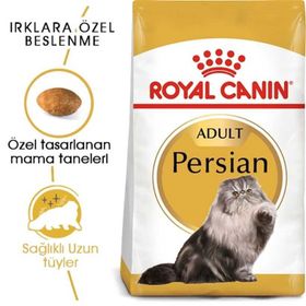 Royal Canin Adult Persian 10 kg Kuru Kedi Maması