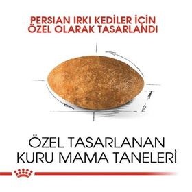 Royal Canin Adult Persian 10 kg Kuru Kedi Maması