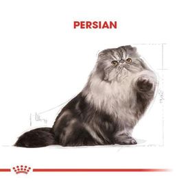 Royal Canin Adult Persian 10 kg Kuru Kedi Maması