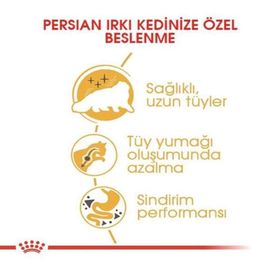Royal Canin Adult Persian 10 kg Kuru Kedi Maması