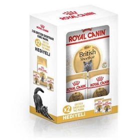 Royal Canin Adult Yetişkin British Shorthair 2 kg Kedi Maması + Instinctive 2 Adet Jel Yaş Kedi Maması