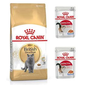 Royal Canin Adult Yetişkin British Shorthair 2 kg Kedi Maması + Royal Canin Yetişkin British Shorhair 2 Adet Yaş Maması