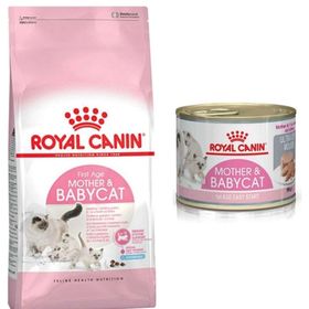 Royal Canin Babycat Yavru 4 kg Kuru Kedi Mama + Babycat Yavru 195 gr Konserve