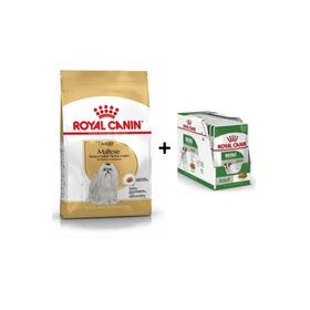 Royal Canin Bichon Maltais 2x1.5 kg Yetişkin Köpek Maması