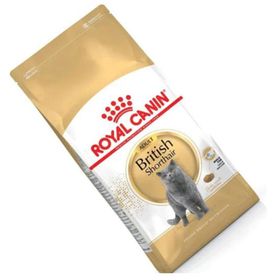 Royal Canin British Shorthair 1 kg Yetişkin Kedi Maması Açık
