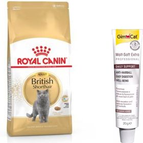 Royal Canin British Shorthair 2 kg Yetişkin Kedi Maması+Gimcat Anti-Hairball Malt Paste 20 gr Kedi Macunu