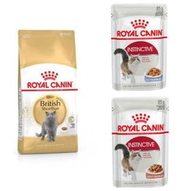 Royal Canin British Shorthair 2 kg Yetişkin Kedi Maması+Instinctive Yaş Mama 2x85 gr