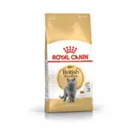 Royal Canin Brıtısh Shorthair Açık 1 kg Kedi Maması