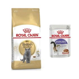 Royal Canin British Shorthair Adult 2 kg Kuru Kedi Maması+85 gr Yaş Mama