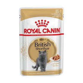 Royal Canin British Shorthair Adult Pouch 12x85 gr Yetişkin Kedi Maması