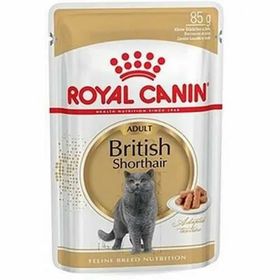 Royal Canin British Shorthair Adult Pouch 6x85 gr Yetişkin Kedi Konservesi