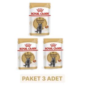 Royal Canin British Shorthair Adult Yetişkin Yaş 3x85 gr Kedi Mama