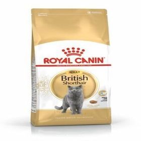 Royal Canin British Shorthair Irkına 10 kg Özel Kedi Maması