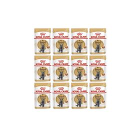 Royal Canin British Shorthair Yaş Pouch 12x85 gr Mama