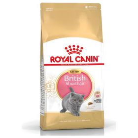Royal Canin British Shorthair Yavru Özel İçerik 2 kg Kuru Kedi Maması
