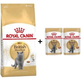 Royal Canin British Shorthair Yetişkin 4 kg Kedi Maması + 2 Adet Yaş Mama Hediye