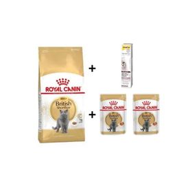 Royal Canin British Shorthair Yetişkin Kedi Maması 2 kg+2 Adet RC Yaş Mama 85 Gr + GimCat 20 gr Malt