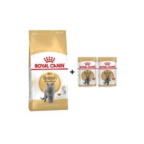 Royal Canin British Shorthair Yetişkin Özel 4 kg Kedi Maması