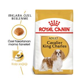 Royal Canin Cavalier King Charles 3 kg Yetişkin Kuru Köpek Maması